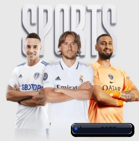 3377体育 APP(3377Sports)